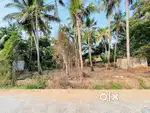 plot with well and near by school, hospital and every facility's