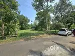 8 CENT ORGINAL LAND FOR SALE IN ALUVA PARAVUR ROUTE MANAKAPADY