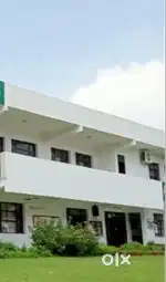 Lady Teacher