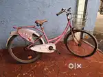 BSA Lady Bird Bicycle Pjnk colour