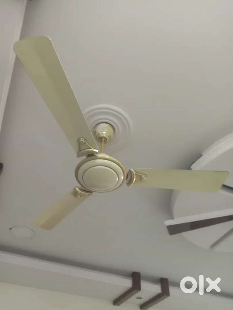 Ceiling fan