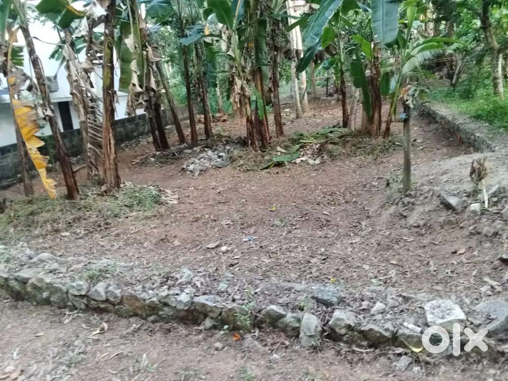 6 cent plot near to Anandeswaram just 20 mts from Main road for Sale