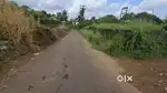 Nedumbassery near airport road 15 cent land for sale immediately
