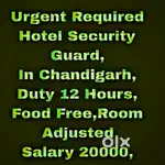 5 Star Hotel Security Guard Job Chandigarh 114