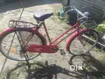 Ladies by cycle