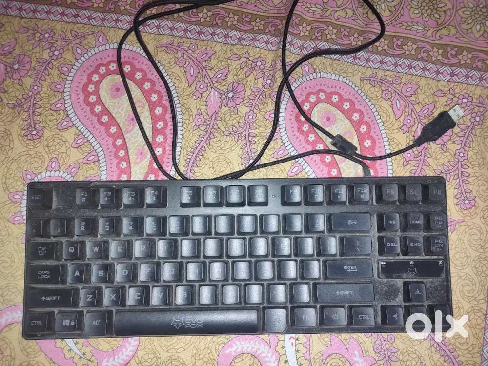 EVO FOX GAMING KEYBOARD, D-LINK LAN ROUTER