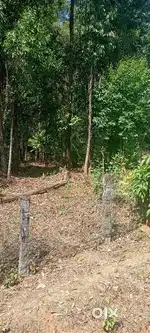 Site for sale in Narve, Koppa taluk