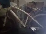 Jaguar cycle
