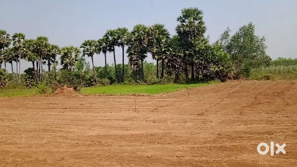 8,000 per sq.yd residential project