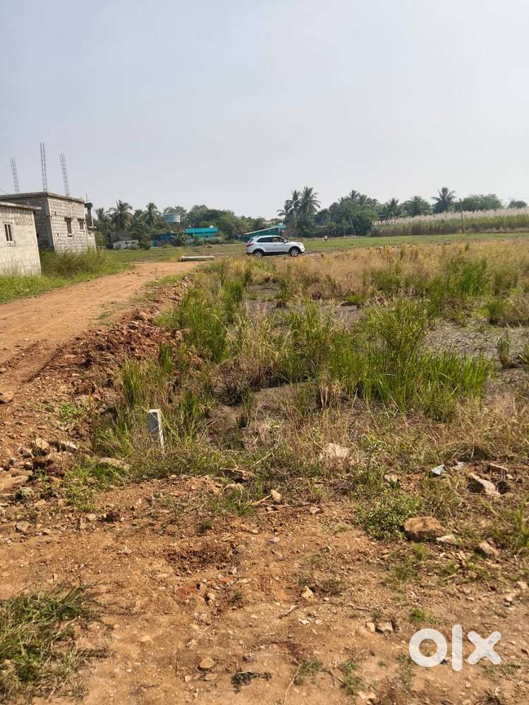 Check and look your property at kunderu nearby kankipadu