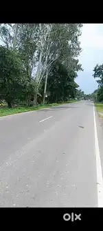 Highway se lagi hu zameen 16.5 biswa Lucknow mohan Hasanganj road