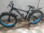 2 year old Foster cycle