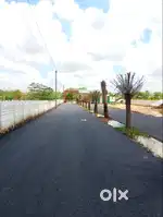 ARABIAN CITY IS IN PUDUKKOTTAI CITY