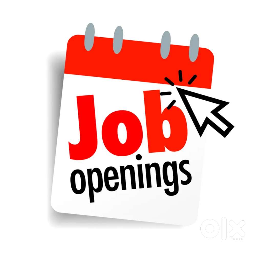 CCTV & Network Engineer