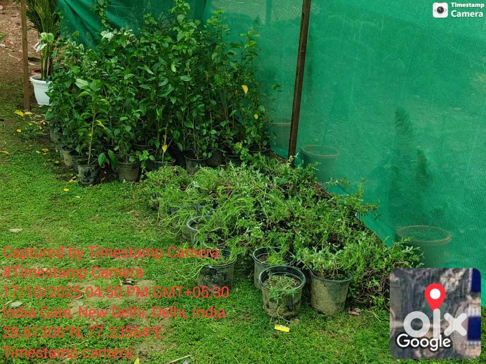 Horticulture manager reqd in Delhi urgent