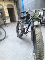 Sunbird Bicycle