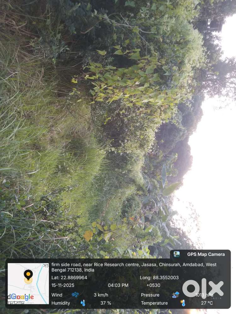 নিজস্ব জমি বিক্রয় আছে।যোগাযোগ