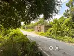 Plot for sale in dariyapur kaphen, pupri maujaa, 10 dhoor,1kathaa avl.