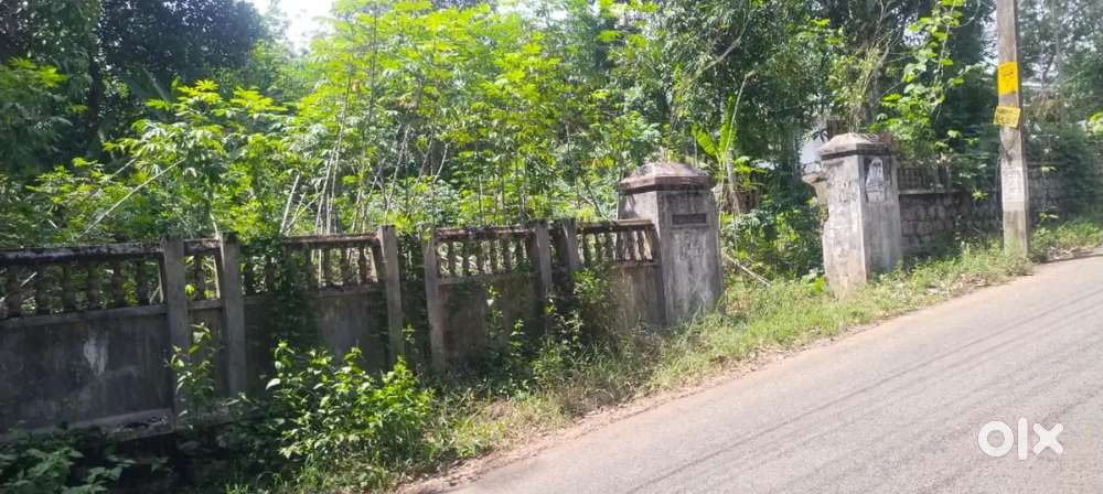 ഏറ്റുമാനൂർ  വെമ്പള്ളിൽ mc റോഡിന് അടുത്ത് 10 സെന്റ് സ്ഥലം വില്പനക്ക്