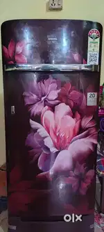 FRIDGES five star