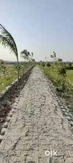 This colony is available a lots of size plot and shop also
