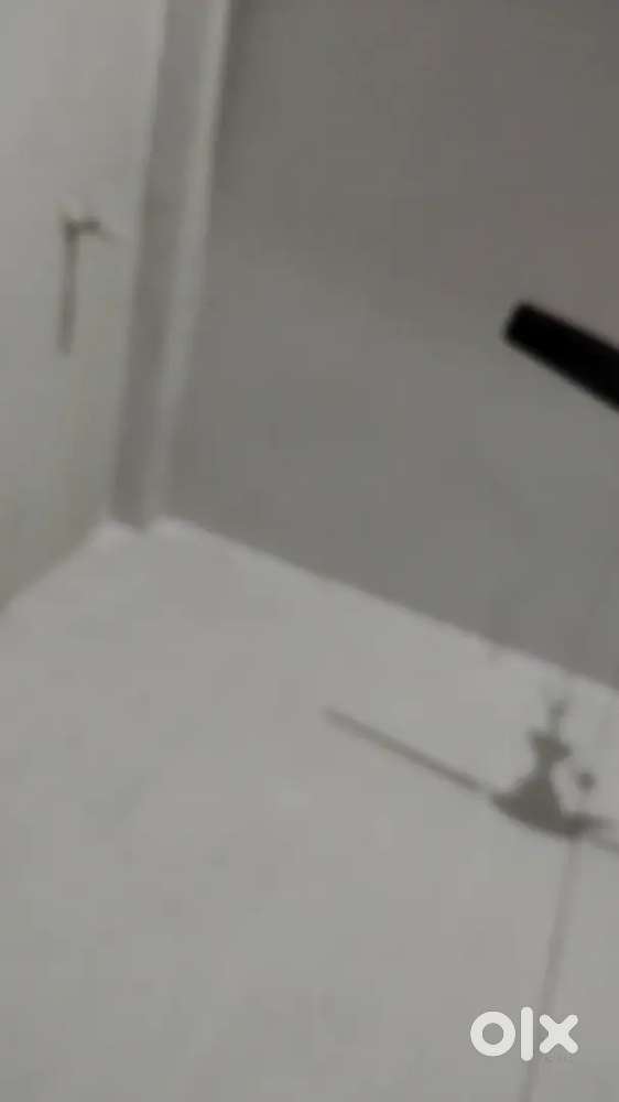 1 bhk flat need girl roommates