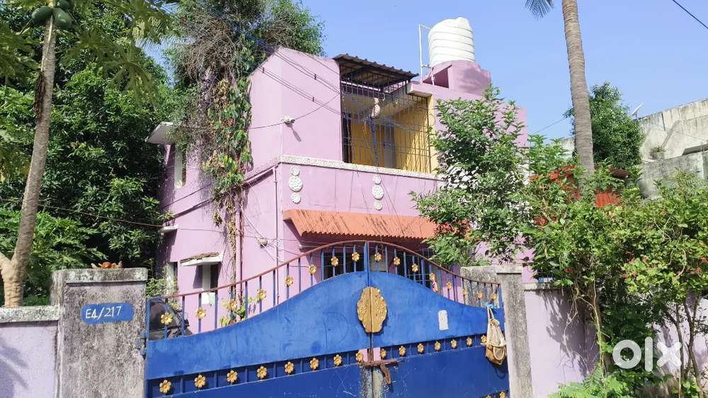 Individual house rent for bachelors only male ( max members: 10)