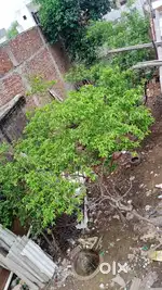 Plot 190 sq. yard Najafgarh Bahadurgarh road 85k per Sq. Yd.