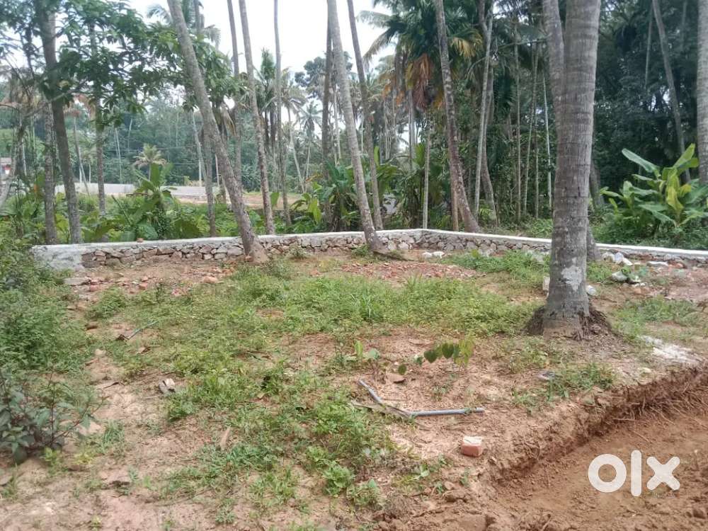 Kattayikkonam madavoorpara mainroad toad to400mtr 4.5cent plot