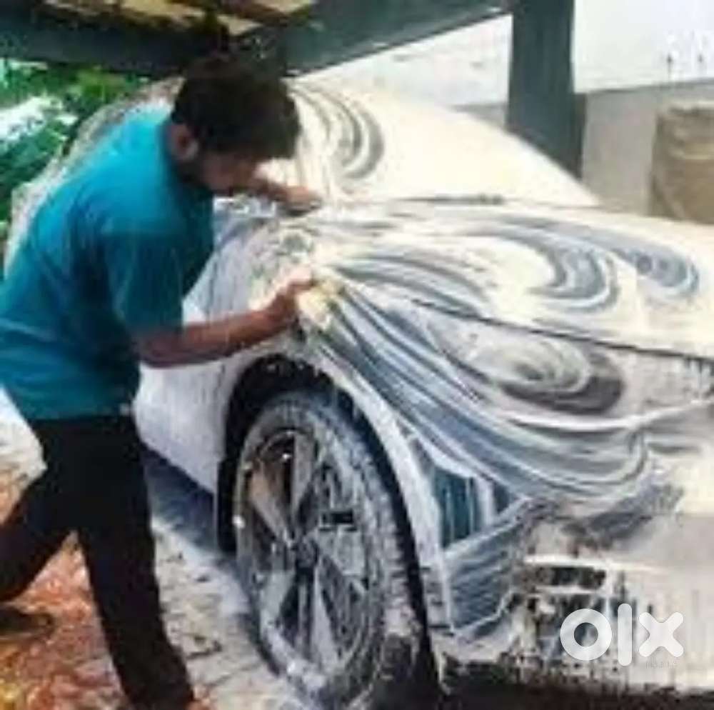 Car cleaning door step