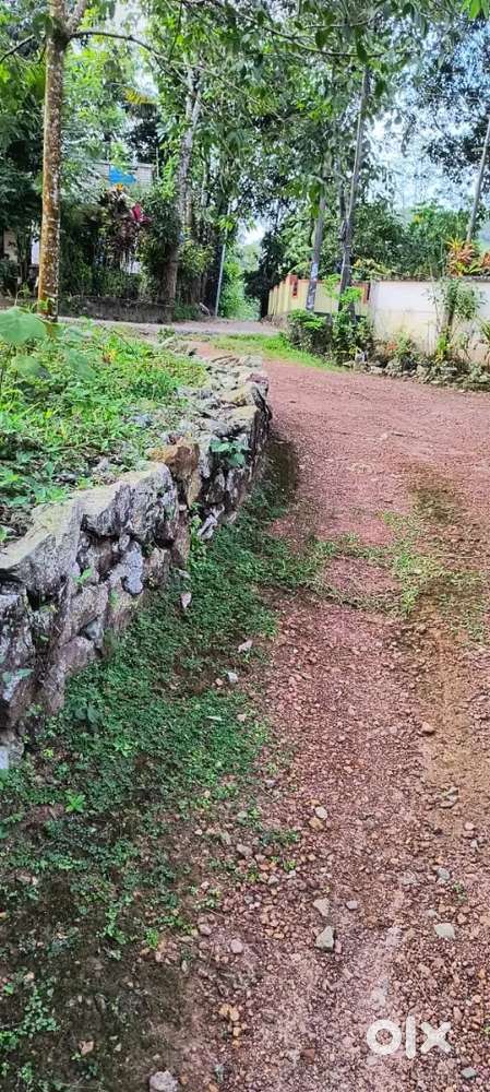 60 cent property and House for sale