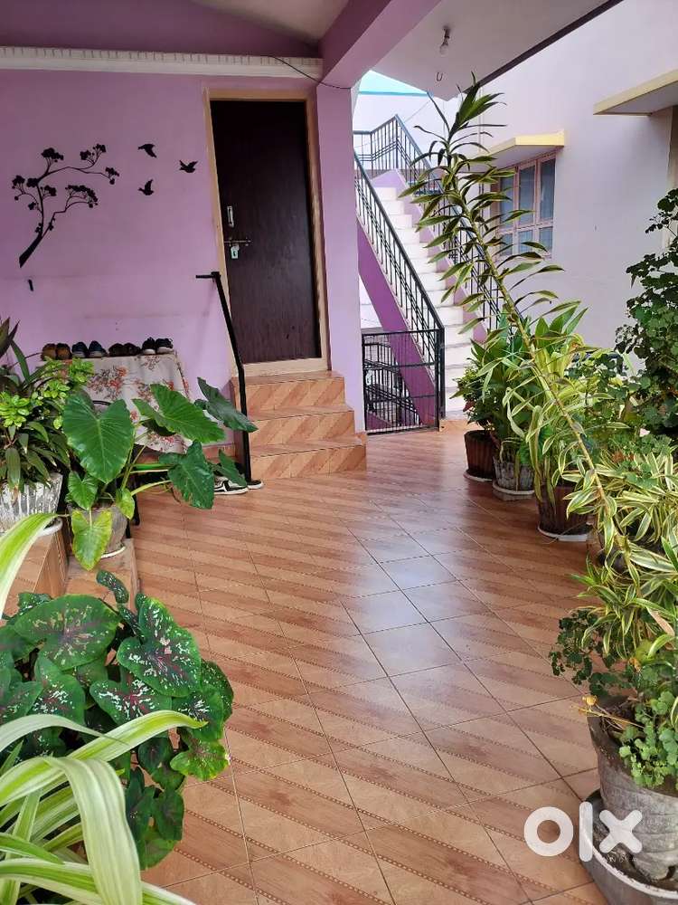 SINGLE ROOM FOR BACHELOR