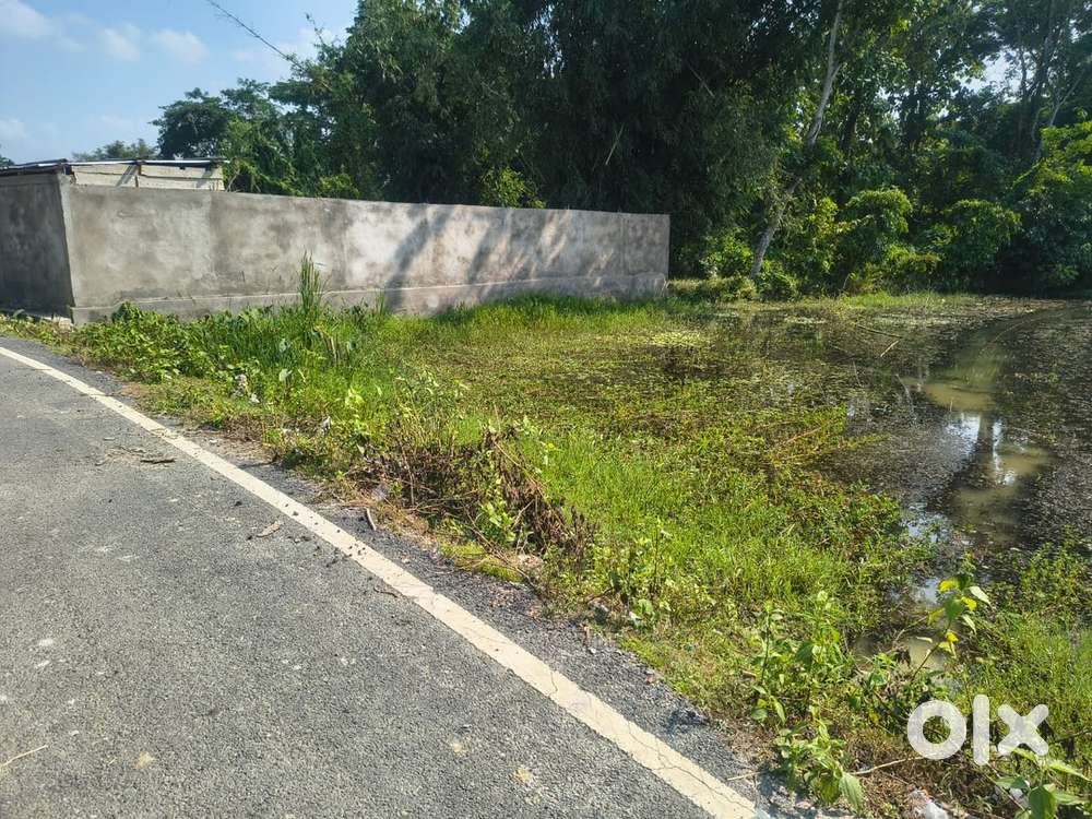 8 Katha Miyadi Land for Sale – Near Mirza, Guwahati