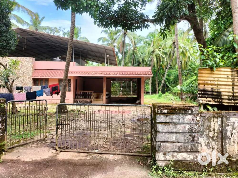 COMMERCIAL HOUSE FOR RENT @ MANAL