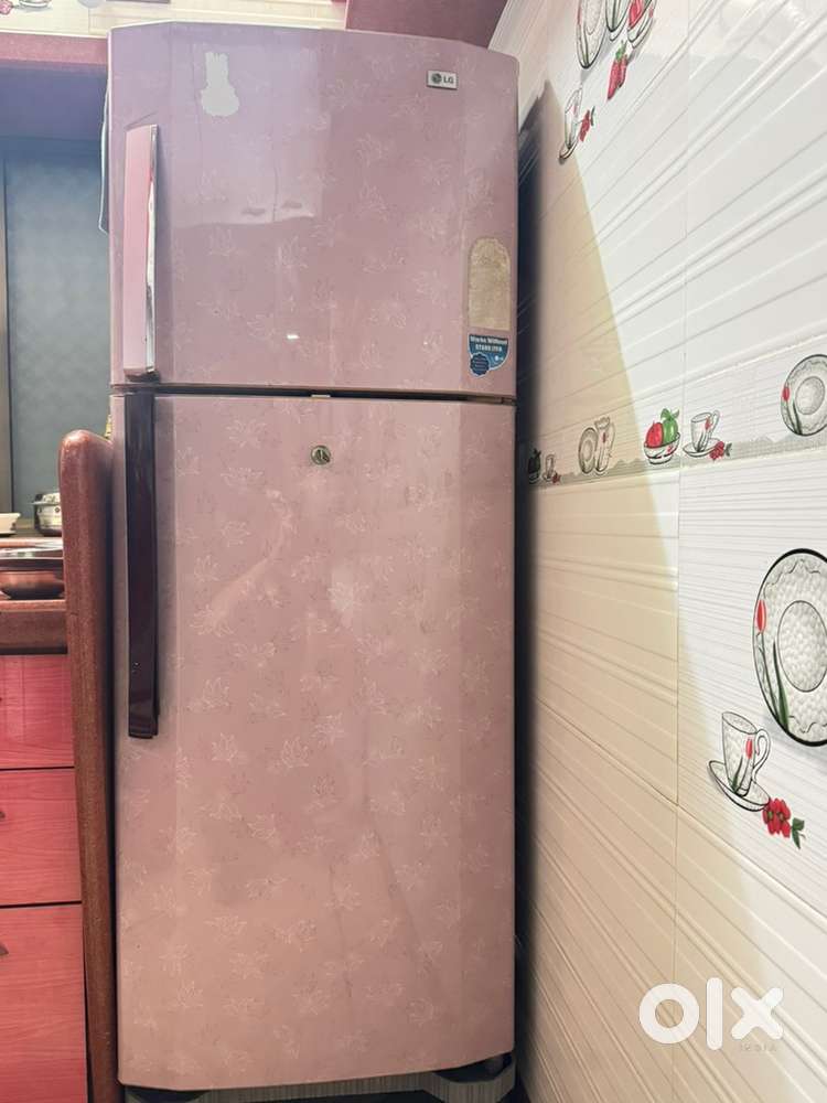 LG double door fridge
