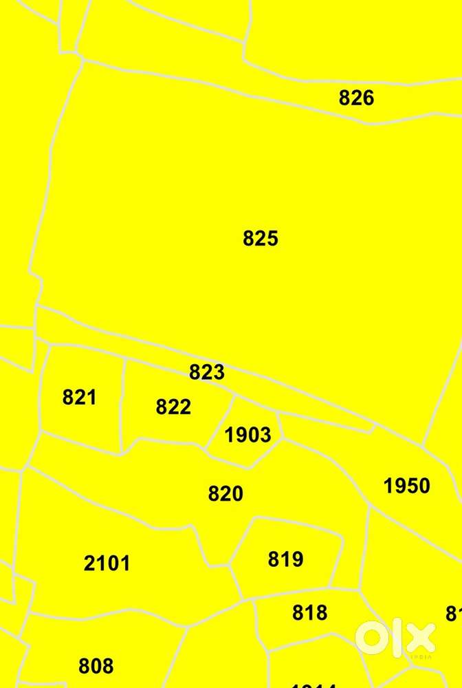 Need a working girl flatmate