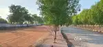 investment purpose open plots
