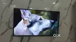 55 inch smart TV
