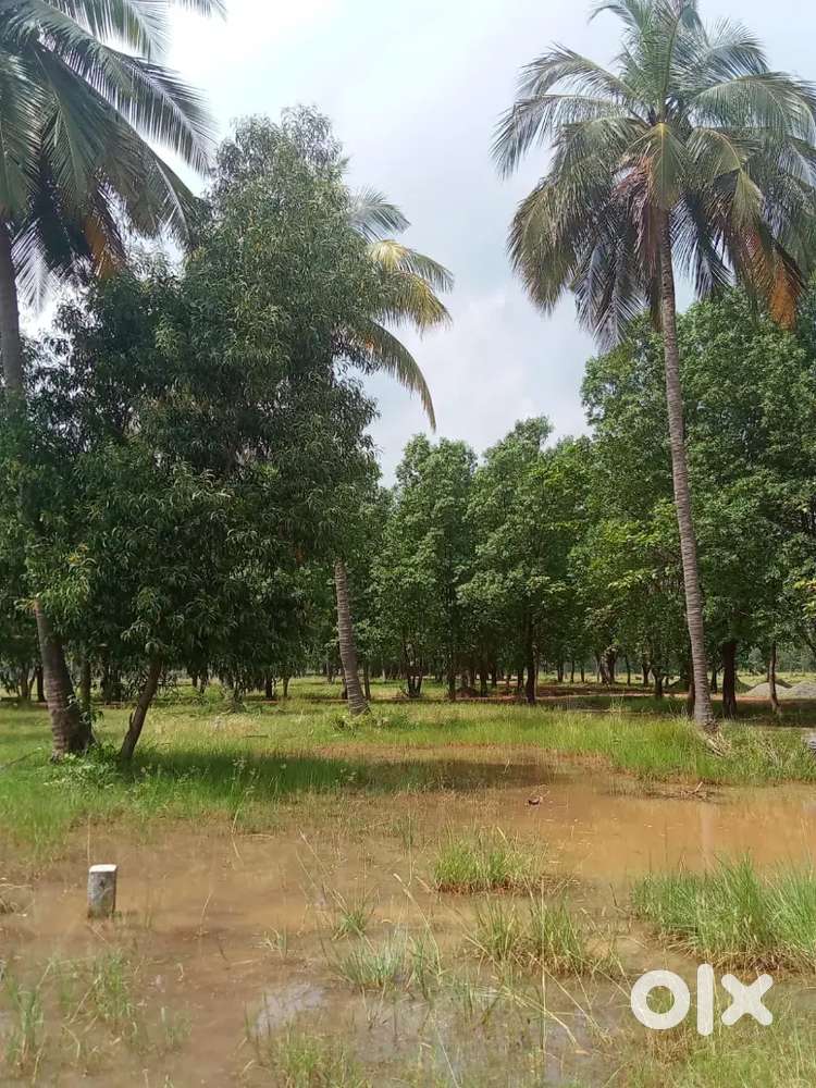 VUDA site with bank loan at Bheemannadora Palem Anandapuram mandal
