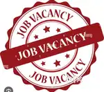 Sales manager for car showroom