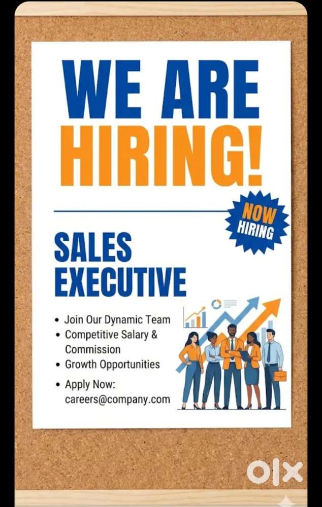 Sales executive