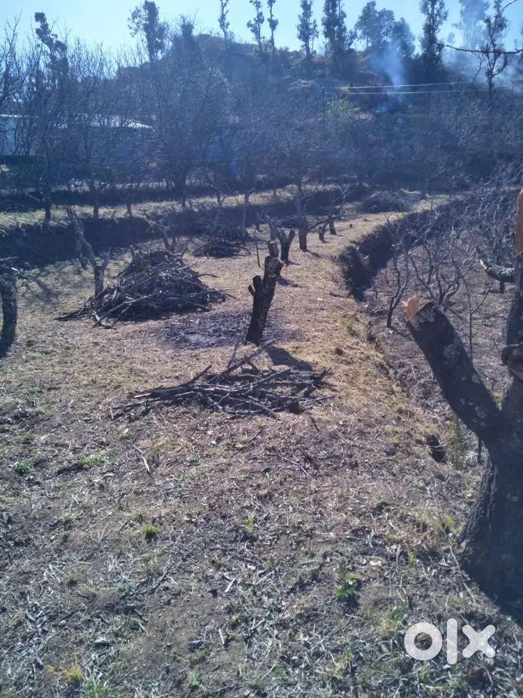3 nali land in hartola