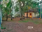 14 cent Residential plot  at 2.25 lakh / cent