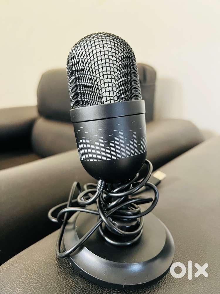 Professional microphone (brandnew)