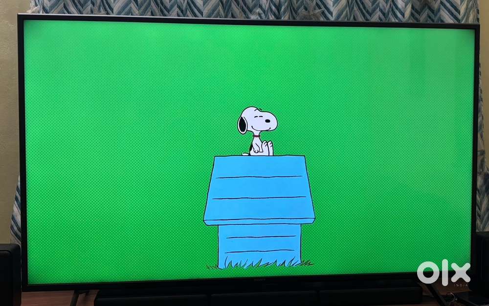 Sony Bravia 4k Google TV  2021 Model