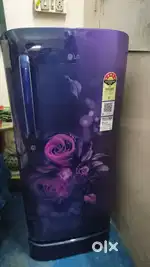 Fridge Only 2month use