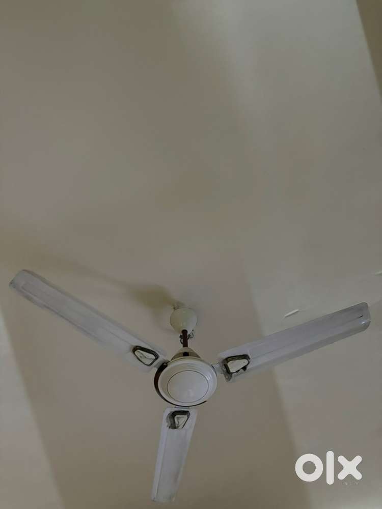 11 ceiling fans