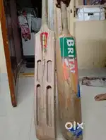 Cricket bats