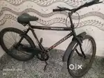 Sports cycle