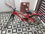 Boys cycle